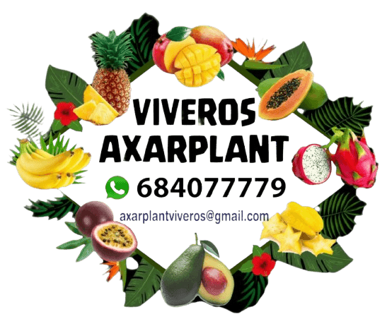 cropped image13 removebg preview